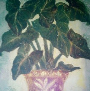 Meet your Posher, Carli